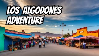 Los Algodones Mexico  Palm Springs Day Trip [upl. by Lukas534]