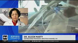 FIUs Dr Marty on cases of leprocy in Florida [upl. by Ahseka]