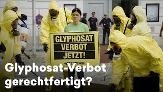 Das GlyphosatVerbot Ist Glyphosat wirklich krebserregend [upl. by Ydur292]