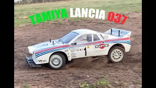 Tamiya Lancia 037  Dirt Trail Rally [upl. by Ardnikal830]