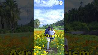 AgriTourism in Kerala ⛵️👨‍🌾 thanimafarmlife shorts agribusiness farming travel [upl. by Notluf607]