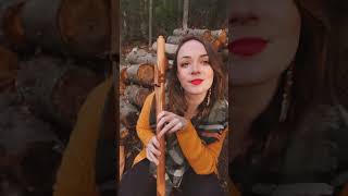 Native American Style Flute in the Forest [upl. by Alyel]