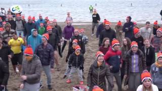 Nieuwjaarsduik 2017 Nesselande [upl. by Ianaj]