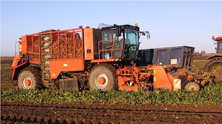 1991 Holmer KRBS sixrow tanker sugar beet harvester  Classic farm machinery  TerraDos forerunner [upl. by Harwell]