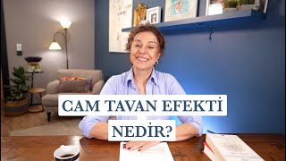 Cam Tavan Efekti ve Kadınların Kariyerleri  Kadınların Hayalleri Bundan Nasıl Etkileniyor [upl. by Llemert674]