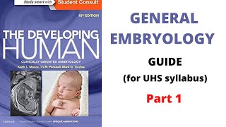 Embryology Guide 1st Year MBBS Part 1 First 3 Weeks of Development [upl. by Atorod]