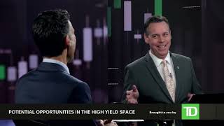 Finding potential opportunities in the highyield bond market [upl. by Akyssej]