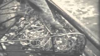 Skipjack Oyster Dredging and processing 1956 [upl. by Hayashi]