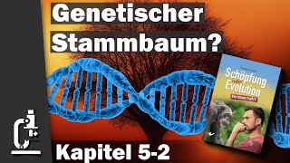 Genetische Ähnlichkeiten  Stammbaumbeweise  Schöpfung oder Evolution 52 [upl. by Odragde336]