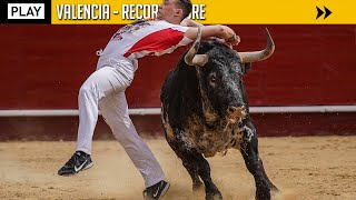 4K ▪ VALENCIA ▪ FALLAS 2022 ▶ HIGHLIGHTS CONCURSO DE RECORTADORES [upl. by Adnirim]