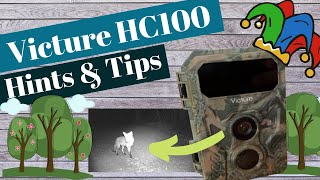 Victure HC100 Wildlife Camera Hints and Tips [upl. by Lenhart]