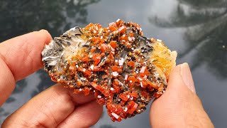 钒铅矿重晶石共生矿  Vanadinite  Barite [upl. by Ahsilla363]