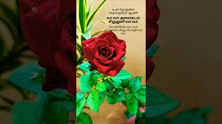 roja kadale song lyrics in tamil whatsapp status [upl. by Norton]