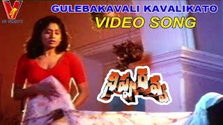 GULEBAKAVALI KAVALIKATO VIDEO SONG  NIPPURAVA  BALAKRISHNA  KASTHURI  VIJAYASHANTI  V9 VIDEOS [upl. by Nnylf]