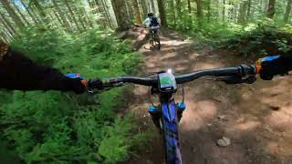 Mountain biking  Fear and Loaming Tillamook State Forest 20240606 [upl. by Cad]