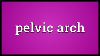 Pelvic arch Meaning [upl. by Topper]