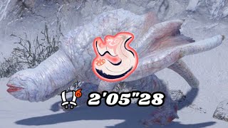 MHRS PS5  Solo db  Khezu lv 300 205quot28  Freestyle [upl. by Brott]