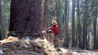 holzhacken holzfäller holzbearbeitung holzarbeiten Holzfäller [upl. by Inaja332]