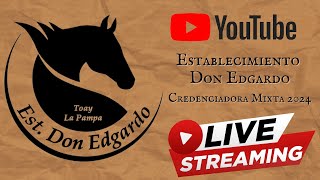 FRENO DE ORO  Credenciadora mixta quotEstablecimiento Don Edgardoquot 1° ETAPA CAT HEMBRASMACHOS PARTE 1 [upl. by Bee723]