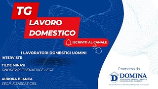 Tg Lavoro Domestico  i lavoratori domestici uomini [upl. by Ayotna]