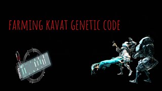 Farming Kavat genetic code [upl. by Andres]