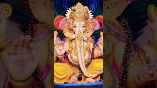 2024 ganesh festival navratripuja ganpatibappamorya trending Shorts viral [upl. by Ailahs]