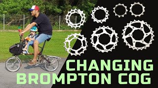 English Sub How to Install Brompton cogs [upl. by Lourie]