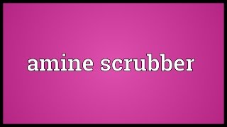 Amine scrubber Meaning [upl. by Sousa]