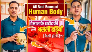 FullVideoAll Real Bones of Human Body  इंसान के शरीर की सभी असली हड्डियाँ कैसी होती हैं viral [upl. by Leile]