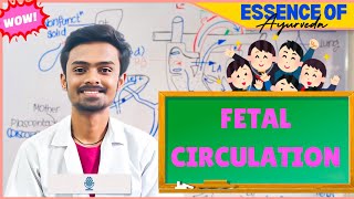 Fetal Circulation  Embryology🎯 Made Easy✅ [upl. by Burford629]