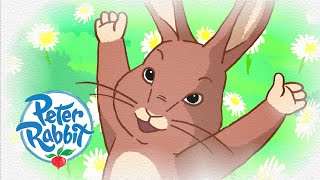 Easter Peter Rabbit  One Hour Special 🐇  Tales of the Week  Cartoons for Kids [upl. by Camella]