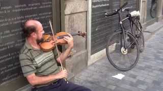 Mendelssohn Violin Concerto in a Street of Copenhagen [upl. by Adriel]