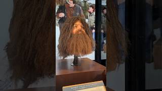 Hagrid’s Head Animatronics Harry Potter Studio Tokyo shorts short shortvideo [upl. by Ahsille]