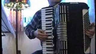 The house of the rising sun accordion [upl. by Herr]