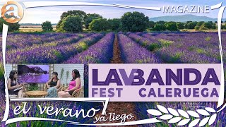 CALERUEGA presenta el LAVANDA FEST  EV 11 07 2024 [upl. by Eihtak770]