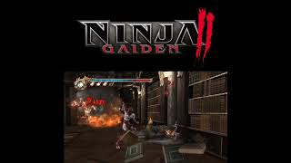 Ninja Gaiden II Library [upl. by Niwrad]