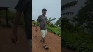 প্রাকৃতিক সুন্দর্যে ভরপুর travel trendingshorts viralshorts nature bandorban touristplace [upl. by Deana253]