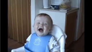 BEST Babies Laughing Videos Compilation [upl. by Bashee936]