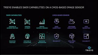 TriEyes Affordable SWIR Imaging for ADAS and AV [upl. by Ainit698]