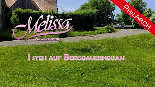 Melissa Naschenweng  I steh auf Bergbauernbuam PhilArch [upl. by Germaun]