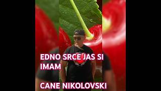 EDNO SRCE JAS SI IMAM  sinfo  by CANE NIKOLOVSKI [upl. by Ariay822]