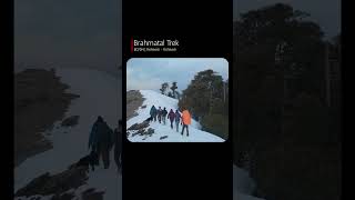 Brahmatal Trek with Trekkers Of India shorts trekkersofindia shortsvideo [upl. by Darum]