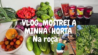 HORTA NA ROÇA  VLOG CONSTRUÇÃO [upl. by Smoht]