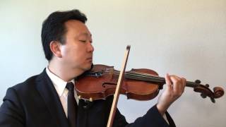 Young and Beautiful  Lana Del Rey with backing track  William Yun Violin [upl. by Marje260]