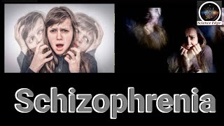 Schizophrenia and Dissociative Identity Disorder Understanding the DifferencesScience Edge [upl. by Alad]