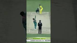 Australia All Fall of Wickets Against Pakistan PAKvAUS SportsCentral Shorts PCB M7C2K [upl. by Acinnad]