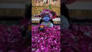 tu mujhmein per Bharosa krishanthought motivation krishnawhatsup love [upl. by Haidebej]