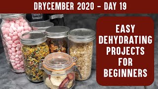 EASY DEHYDRATING PROJECTS FOR BEGINNERS Learn to Dehydrate with Easy Recipes  DRYCEMBER [upl. by Born52]