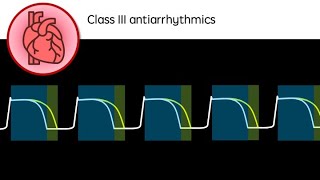 Class III Antiarrhythmic drugs [upl. by Ramon]