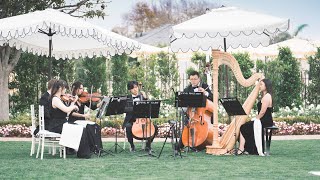 A Thousand Years Best Wedding Song  Chamber Orchestra Version [upl. by Koerner]